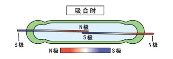 干簧管應用入門級手冊