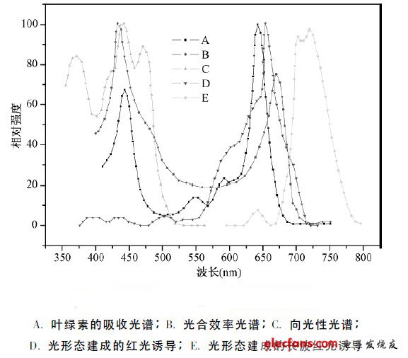 圖1 五個主要的植物光生化反應(yīng)作用光譜