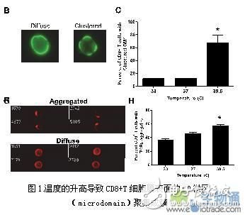 基于高內(nèi)涵顯微成像流式細(xì)胞儀的免疫學(xué)研究